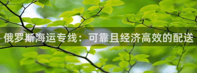 公海赌船官网下载