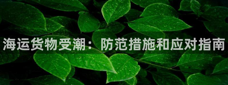 公海赌船贴吧